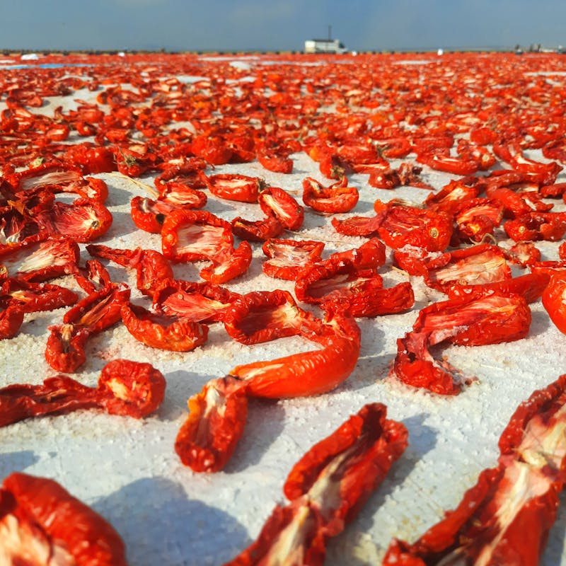 Dehydrated Tomato Flakes